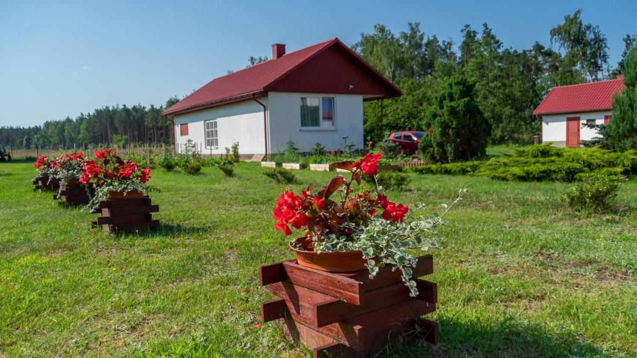 Siedlisko Pod Lasem Звежинец Экстерьер фото
