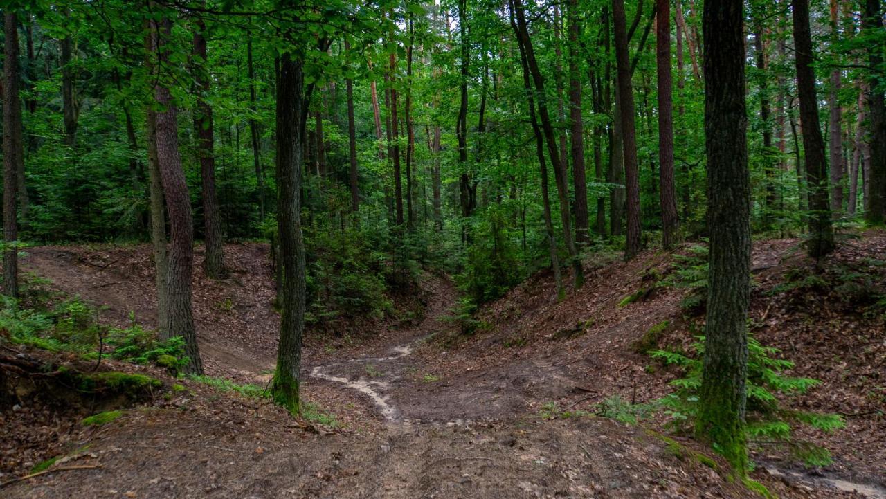 Siedlisko Pod Lasem Звежинец Экстерьер фото